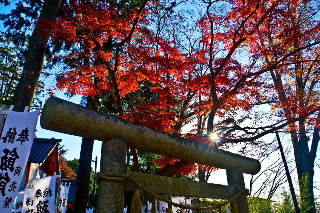 神社の紅葉