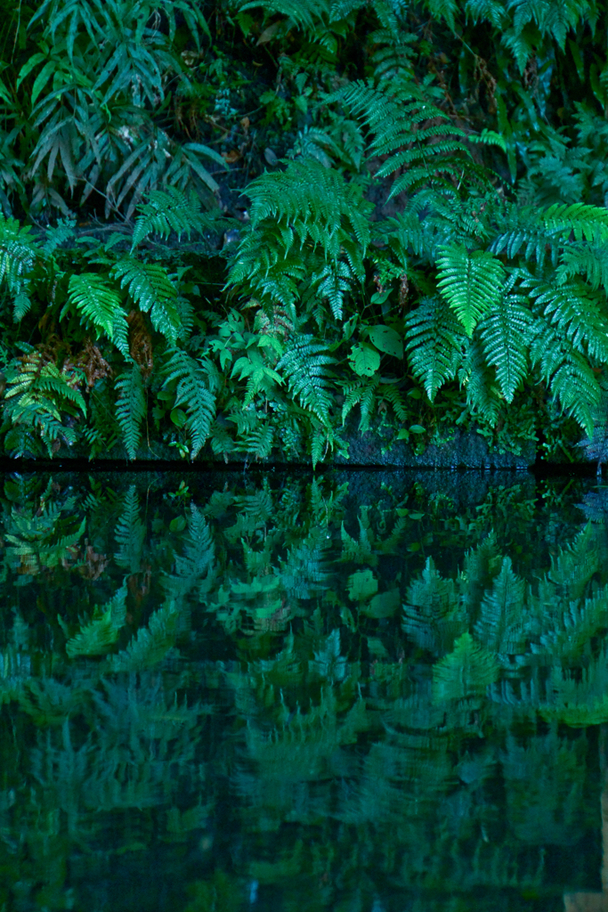 寺社の写真