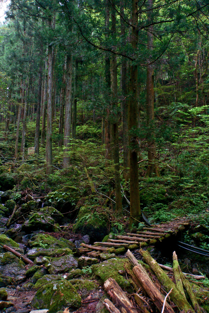 山道