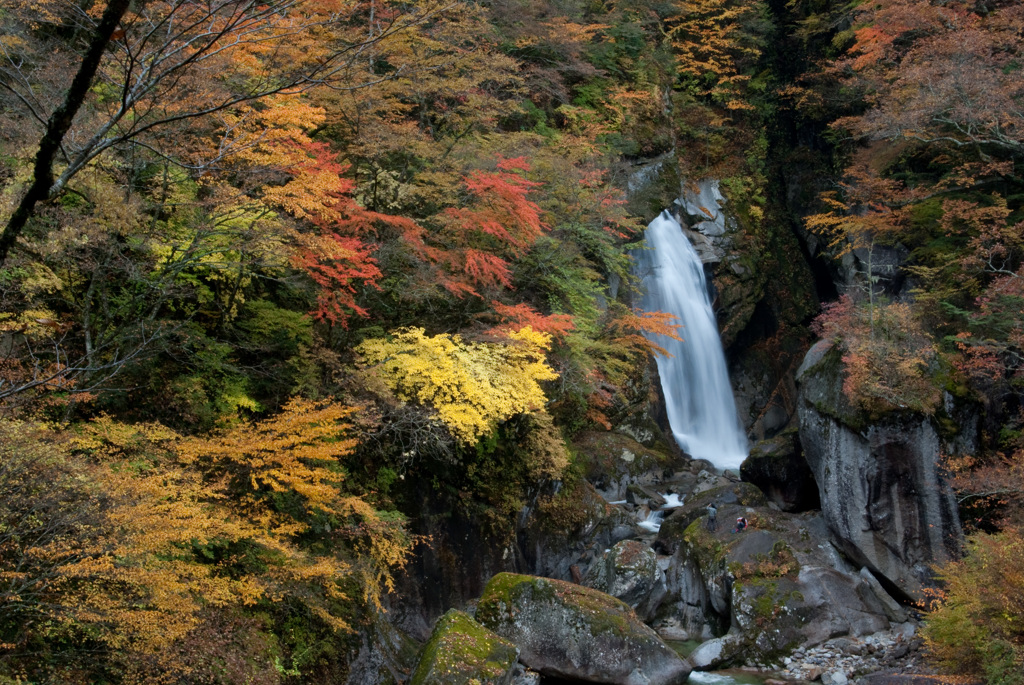2007年11月、尾白川渓谷