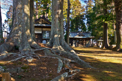 寺社の写真