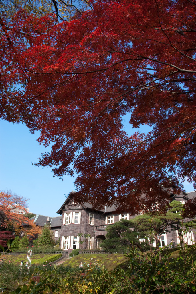 2009年11月、旧古河庭園で