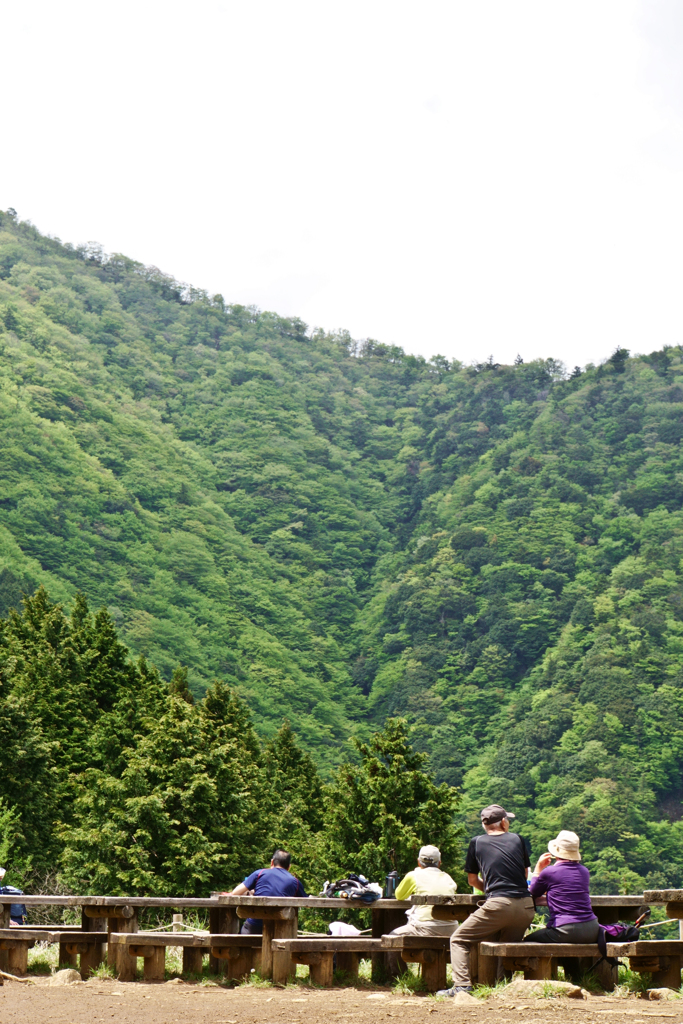 山の写真