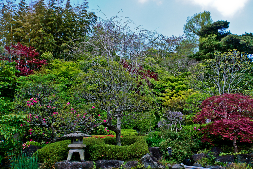 鎌倉・長谷寺の庭園