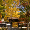 紅葉の写真