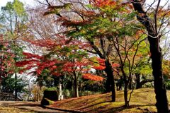 紅葉