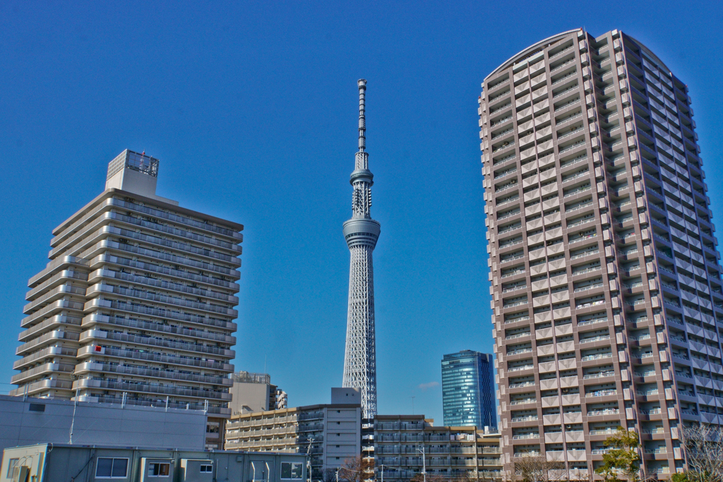 スカイツリーが見える風景