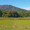 紅葉の写真