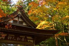 2017年11月、宝登山神社で（２）