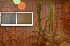 建物の写真