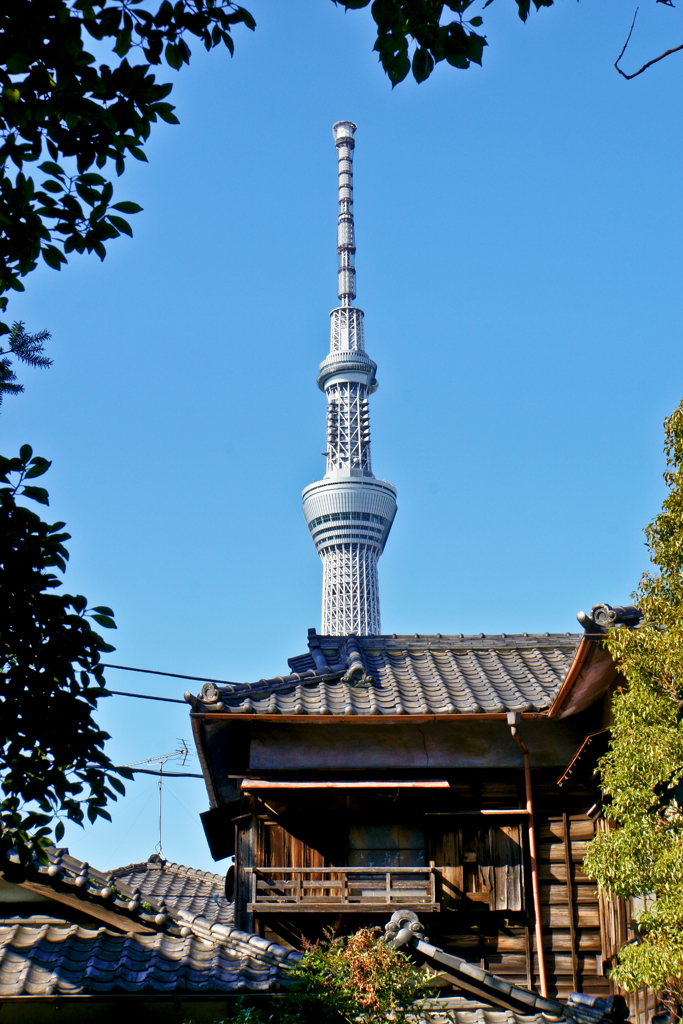 スカイツリーが見える風景