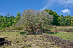旅行写真