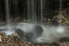 暑いので涼し気に