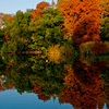 紅葉の写真