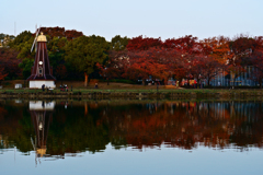 公園の朝