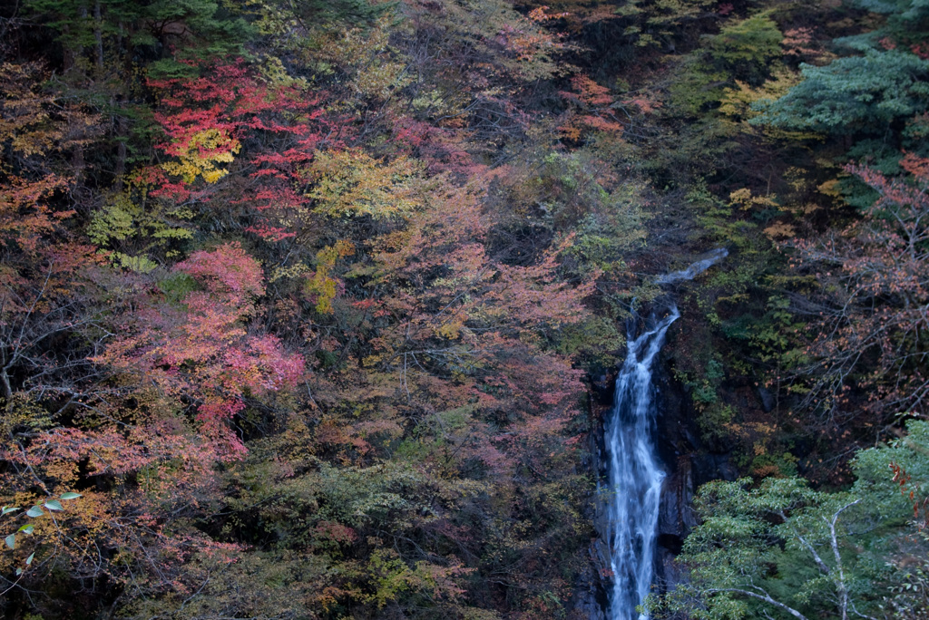 2006年10月、西沢渓谷