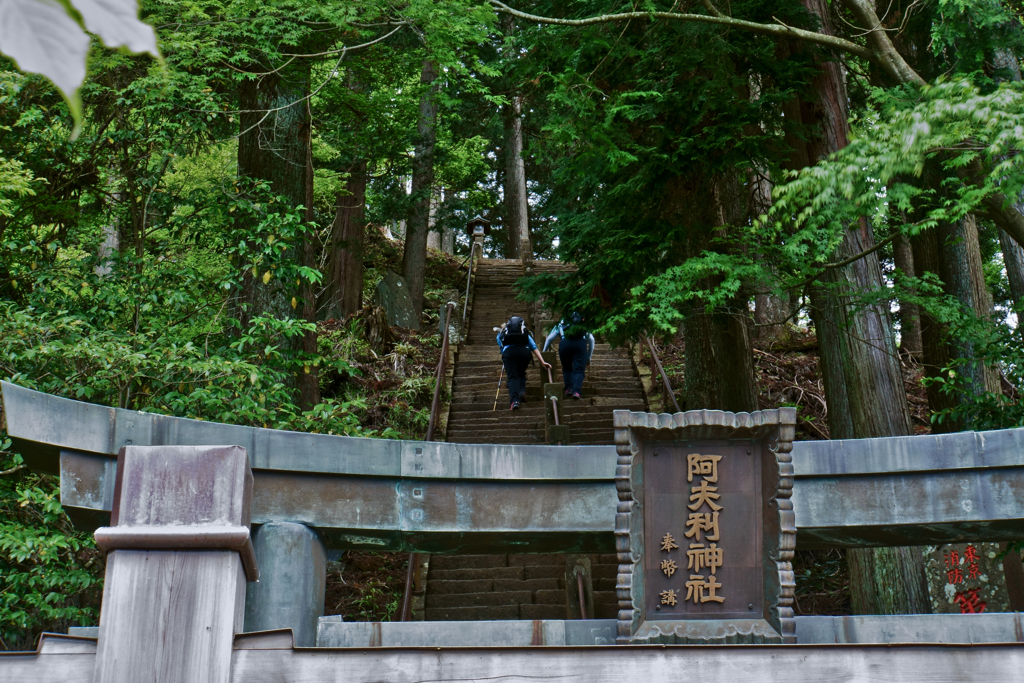 丹沢大山の山道