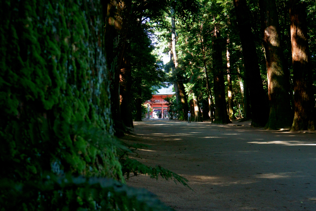 寺社の写真