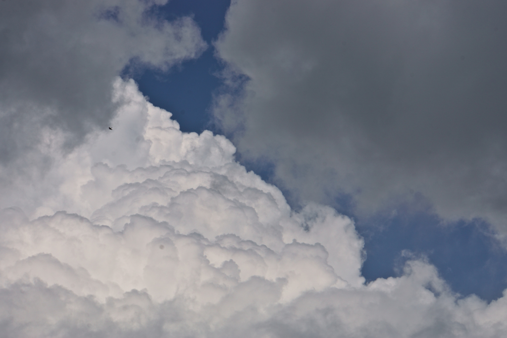 夏雲