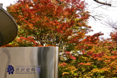紅葉