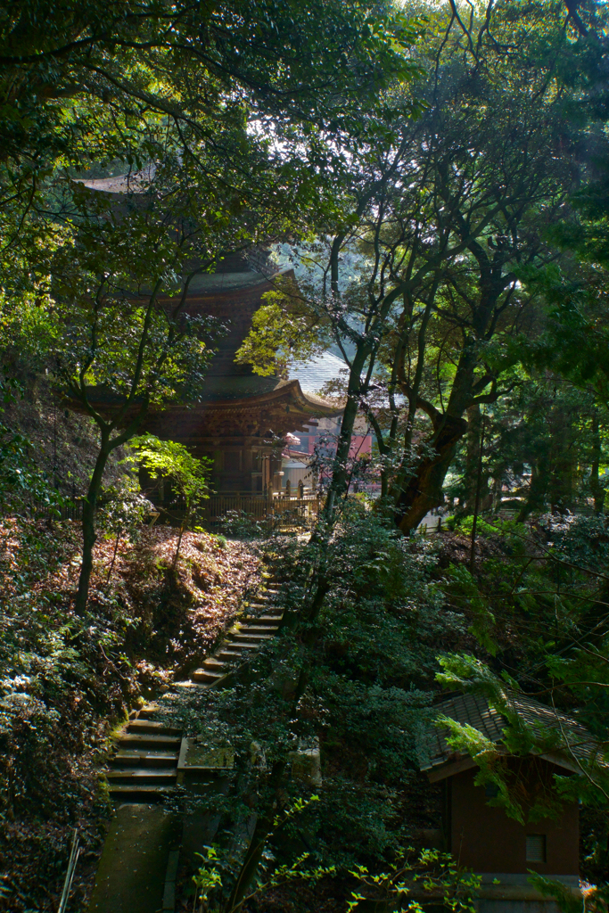 寺社の写真