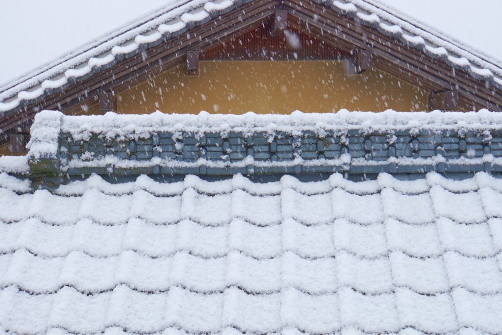 雪景色