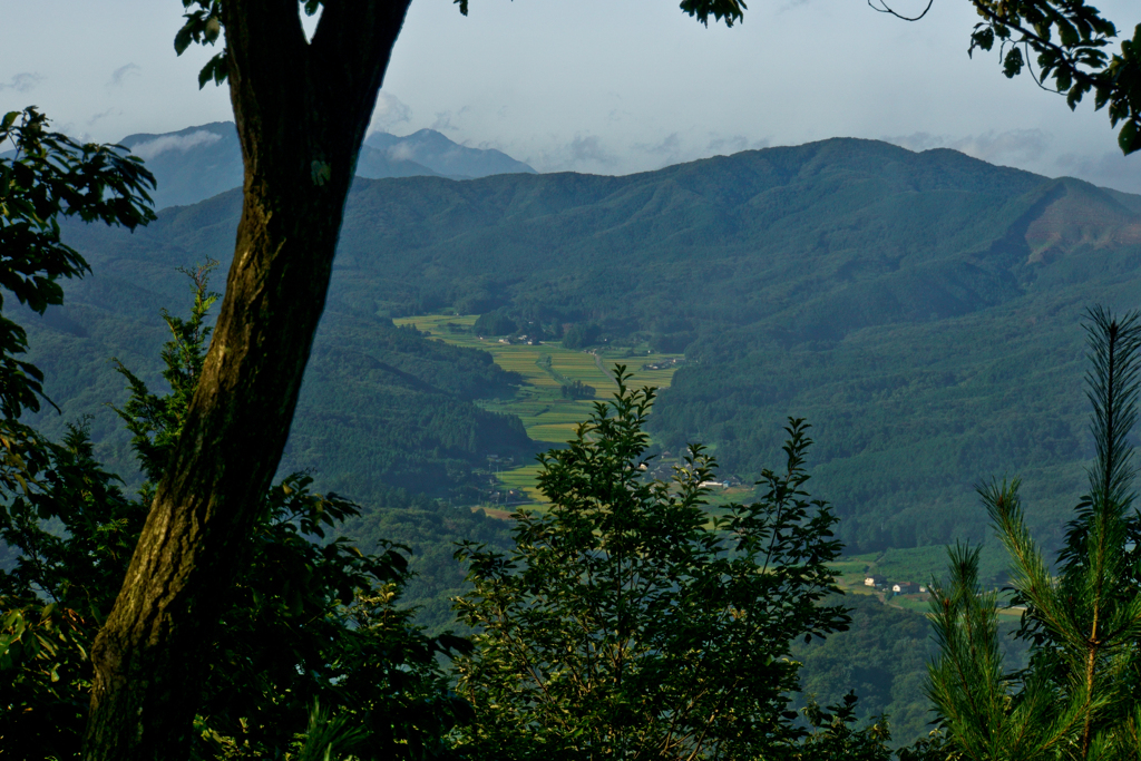山の写真
