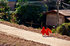 日射しが痛い