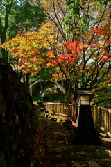 紅葉