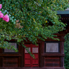 寺社の写真