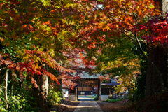 紅葉