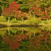 紅葉の写真