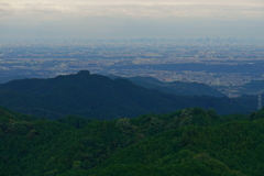 遠くにスカイツリー