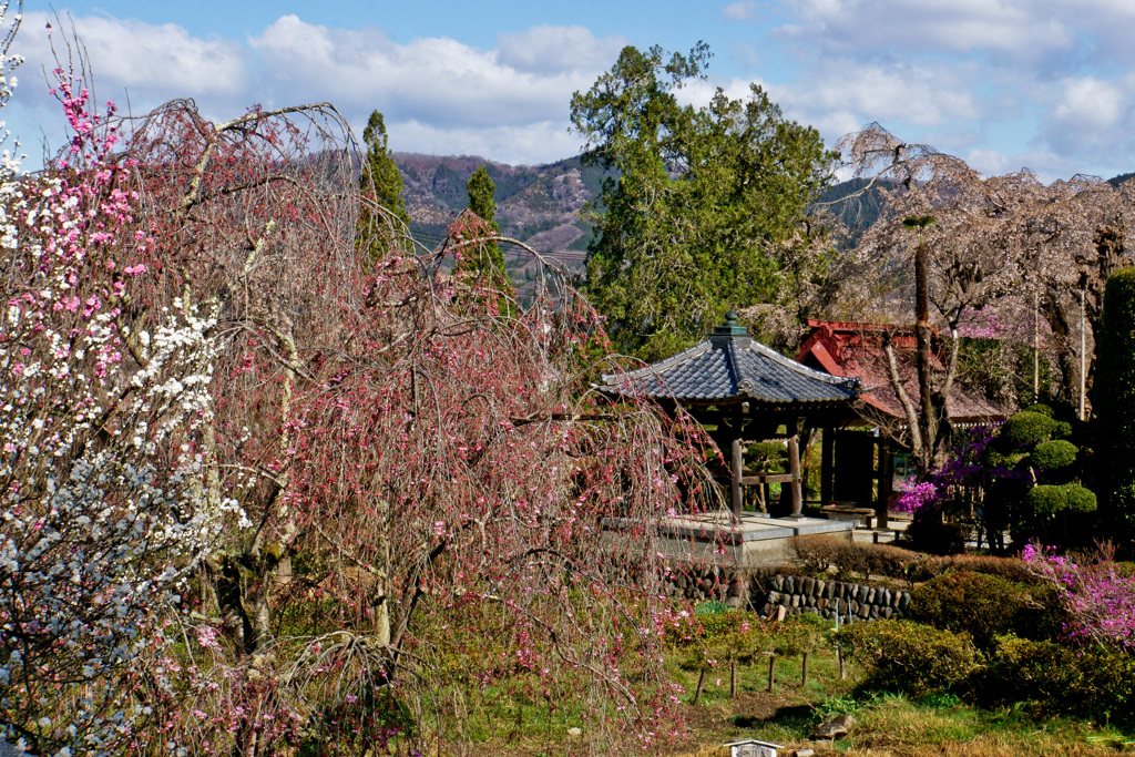 法善寺