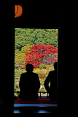 紅葉狩り