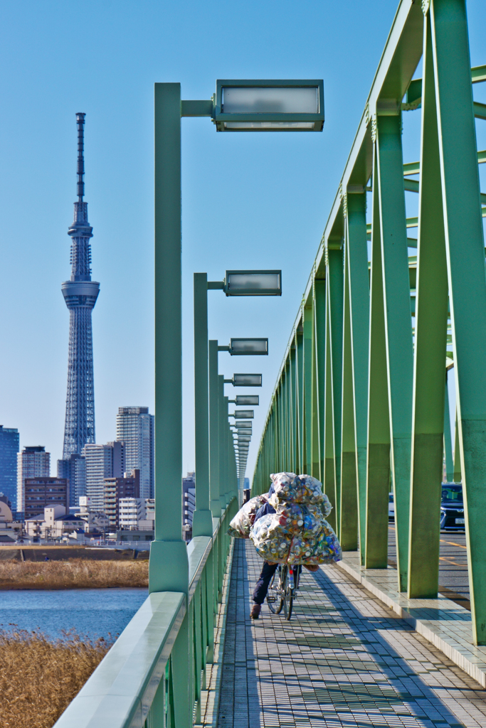 スカイツリーが見える風景