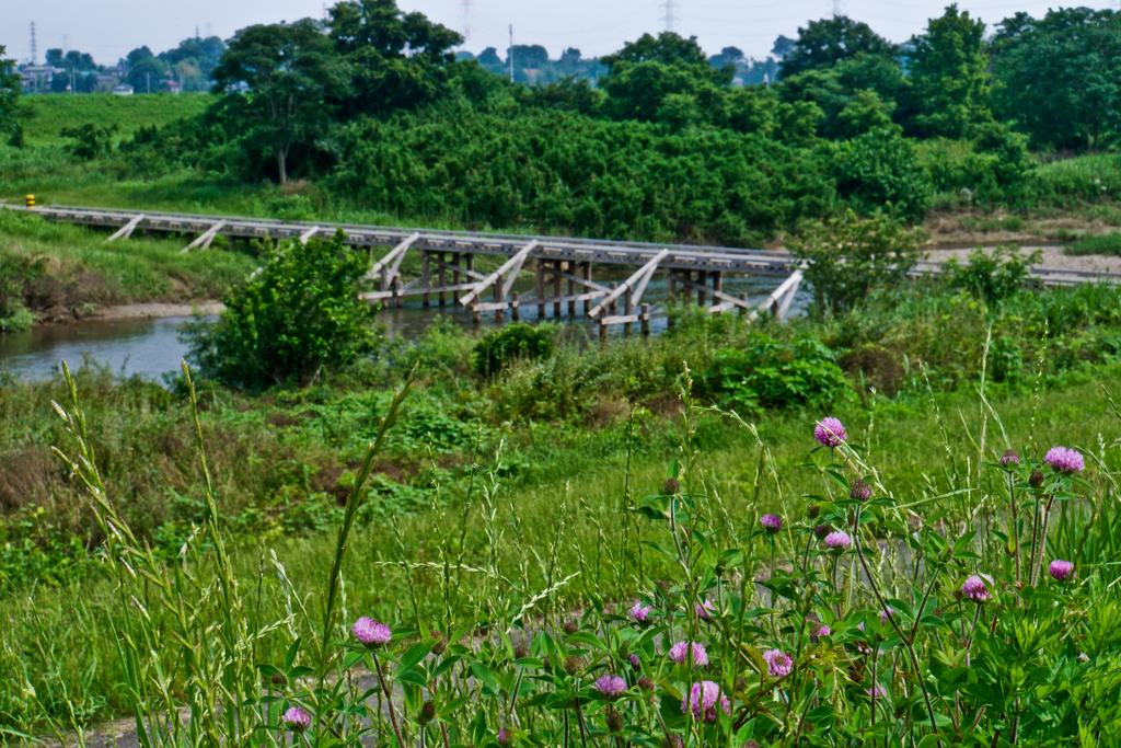 島田橋 #4