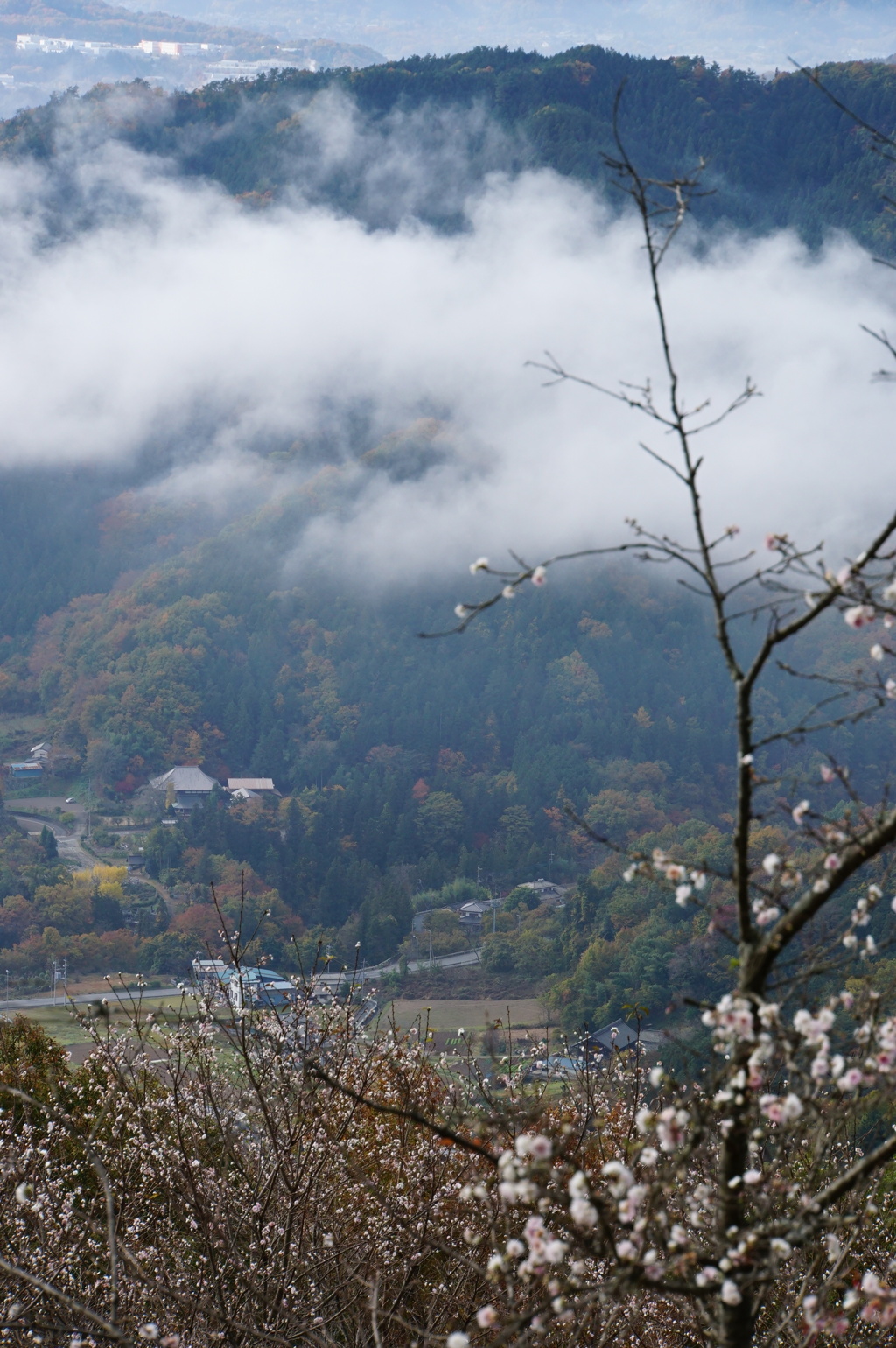2017年11月、宝登山から
