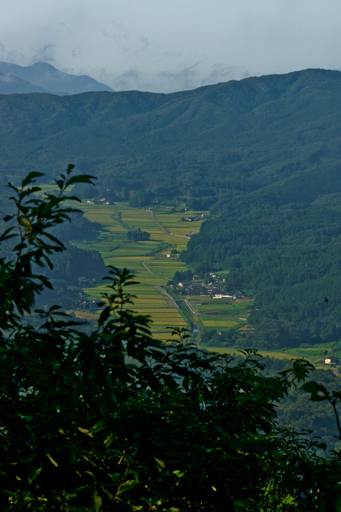 山の写真