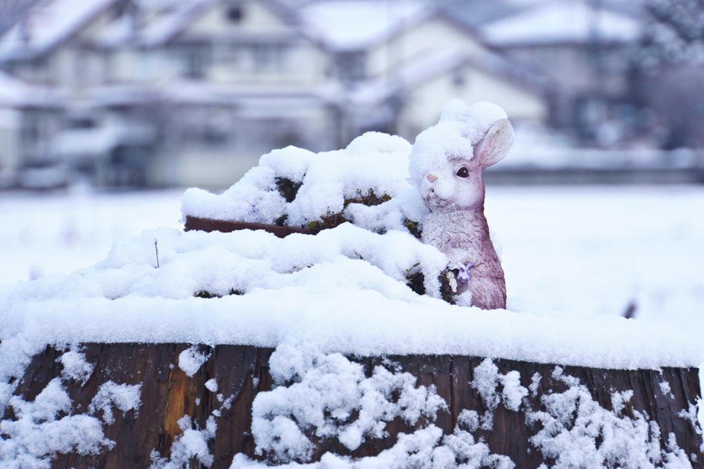 雪景色