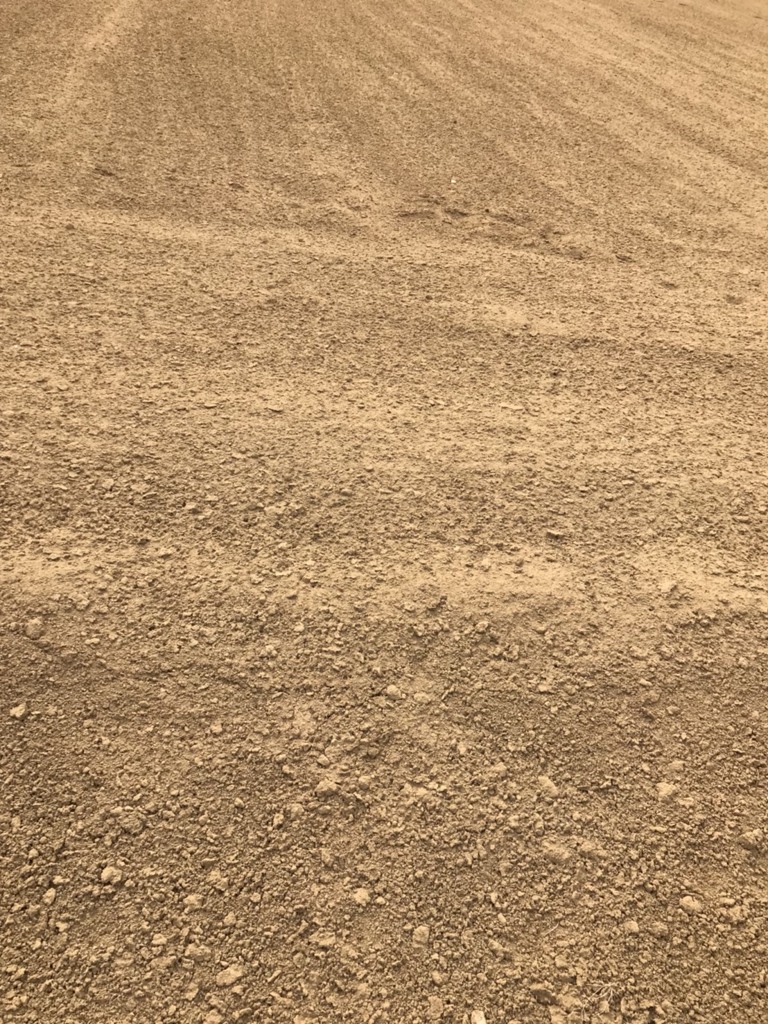 万全を尽くせる人がプロだと痛感　桑名利夫の日記