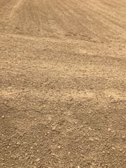 万全を尽くせる人がプロだと痛感　桑名利夫の日記