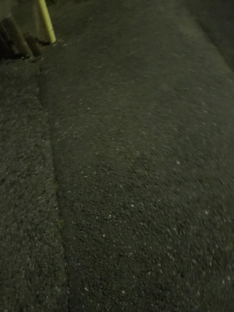 一人旅にまた出たい　桑名利夫の日記