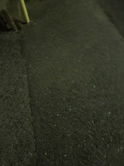 一人旅にまた出たい　桑名利夫の日記