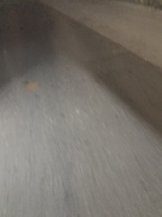 最近のトレーニングジム　桑名利夫の日記