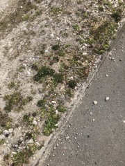そこにあると落ち着く場所　三宅弘一の日記
