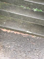卒業はめでたいのだが・・・　三宅弘一の日記