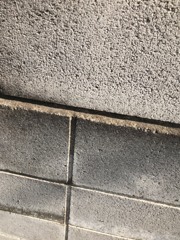 立ち飲み屋について三宅弘一の思うこと