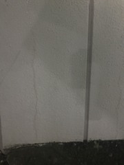 生肉が好き　三宅弘一の日記