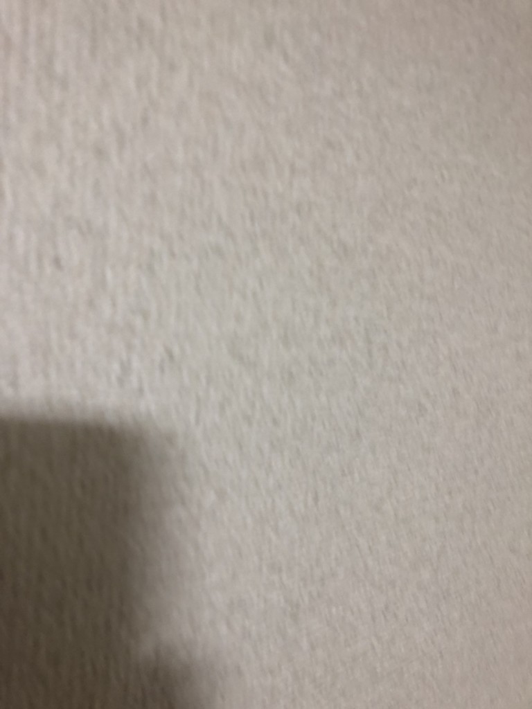 人身事故の悲劇　　菅原一秀の日記